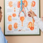 Урология: важная область медицины, посвященная здоровью мочеполовой системы